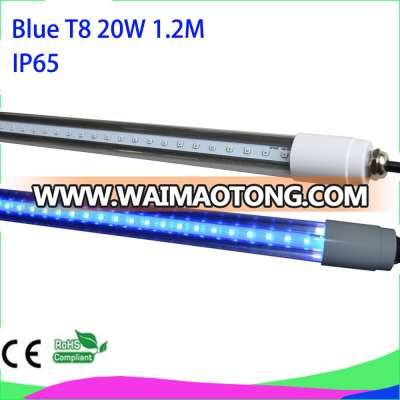 IP65 blue color T8 1.2M 20W LED tube LED aquarium light